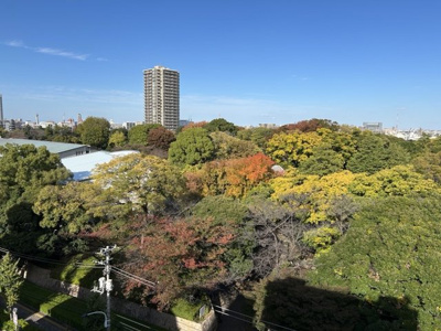 【展望】 | Dear WAN Court 王子飛鳥山