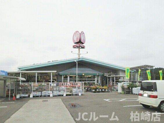 ＷＡＤＯＵ　Ⅱの周辺|コメリまで1330m