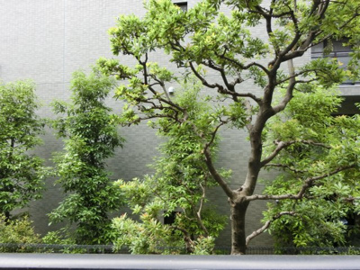 【展望】 | ドミールときわ台