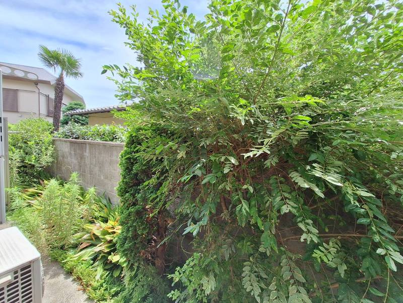 ＫＭライズの展望