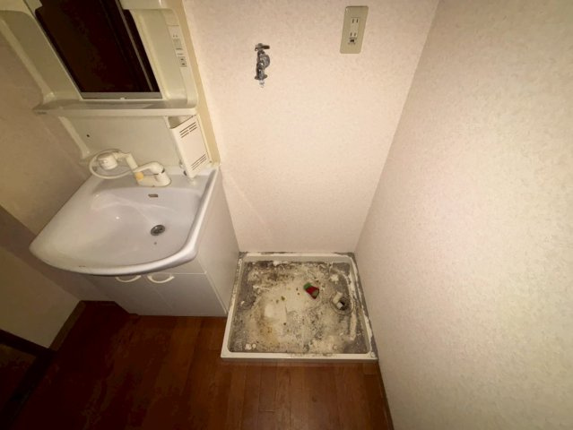 ラフィーネのその他