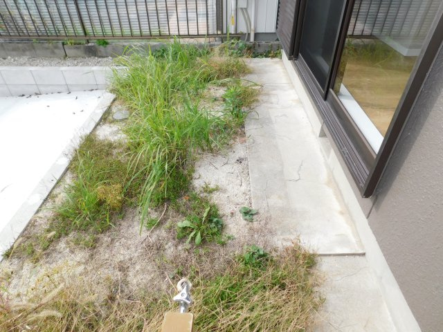 名古屋市港区船頭場３丁目の中古一戸建の庭|◇庭◇　　ガーデニングが楽しめる庭付き♪