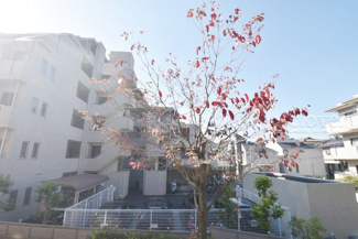 【展望】 | バルコニーからの景色です。～即日のご見学可能～　お問合せはお気軽にどうぞ。