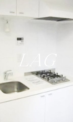 【キッチン】 | ビバリーホームズ目黒鷹番 | キッチンです。