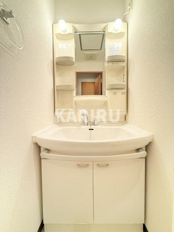 アルバTの洗面所