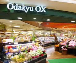 Ｏｄａｋｙｕ　ＯＸ（…まで490m