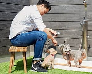 練馬区春日町3丁目　中古戸建のその他|屋上庭園イメージ

