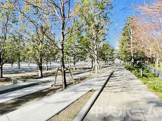 ブランズタワー豊洲の中庭|敷地内には緑も多く住環境良好です