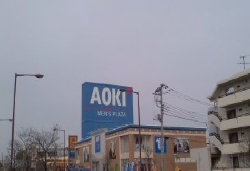 フォリアカーサのその他