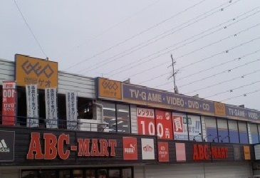 フォリアカーサのその他