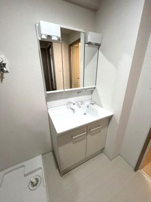 コンフォータブルの洗面所