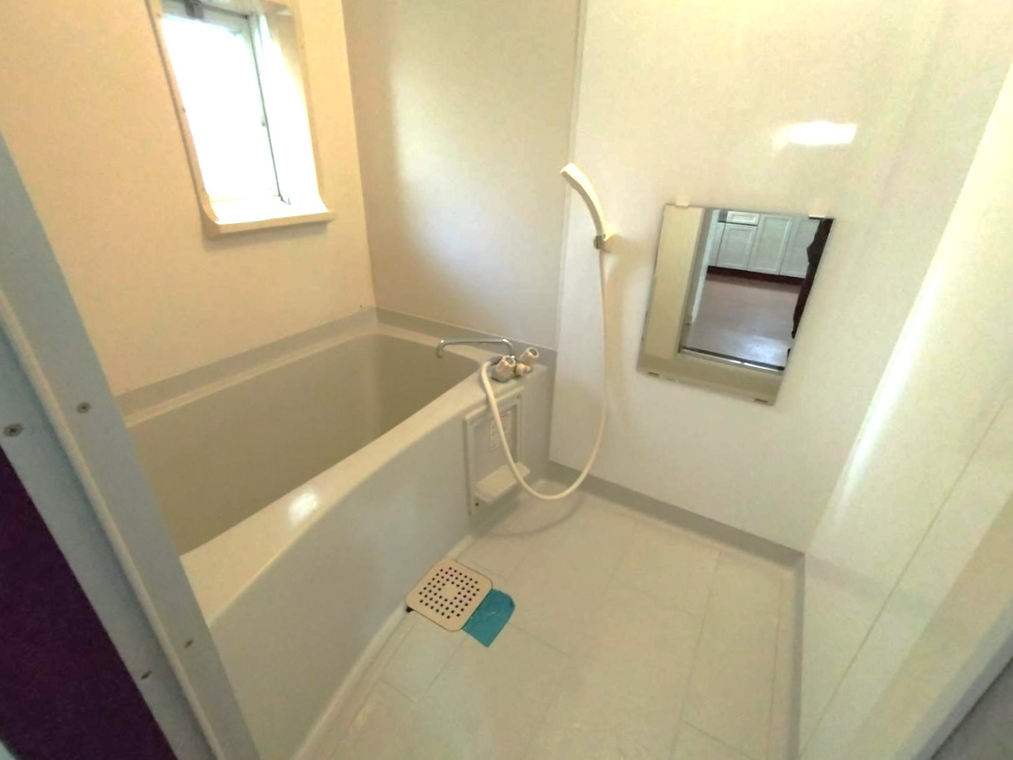 ハイフォーレストAの浴室