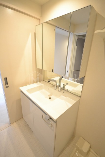 ブランエムの洗面所