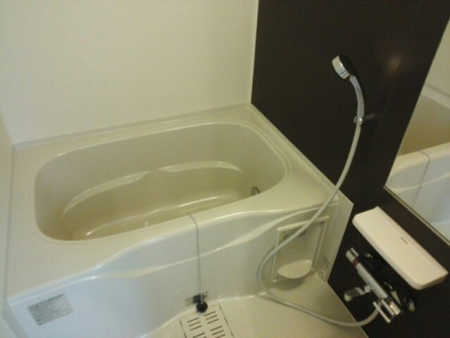 フェリシオ2の浴室