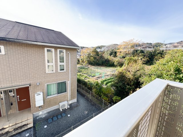 アメージングパルの展望