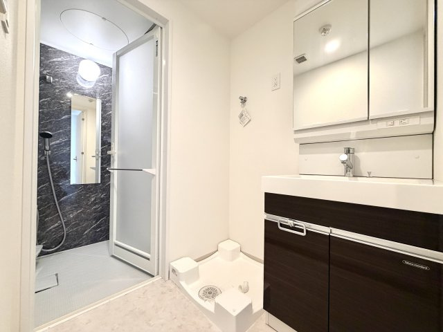 ディアレイシャス大須観音IIIの洗面所