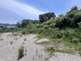 【外観】 | 西脇市和田町　事業用地