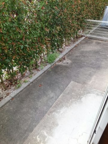 アメニティハイツ　Ｄの庭