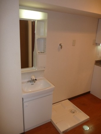 市川市新田５丁目の賃貸マンションの洗面所