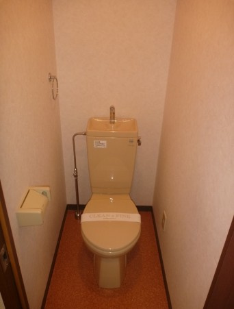市川市新田５丁目の賃貸マンションのトイレ