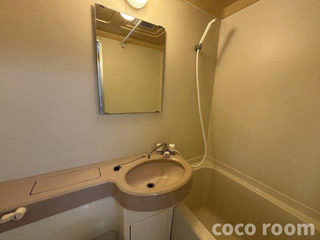 メルカードあさひIIIの洗面所