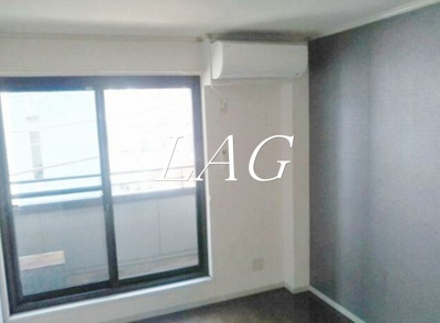 【居間・リビング】 | ドルフ武蔵新田 | 洋室のお部屋です。