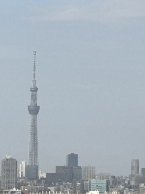 【展望】 | キャナルファーストタワー | 眺望