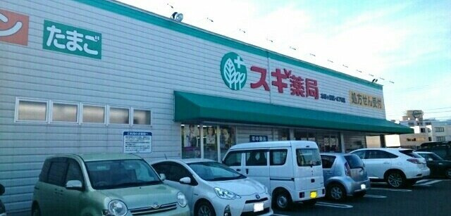 ビーハイヴの周辺|スギ薬局様まで350m