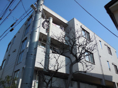 【外観】 | ガーデニア中野 | 落ち着いた雰囲気。