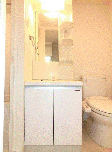 メインテラス上野の洗面所