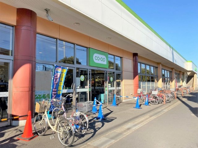 レオパレスフラワーの周辺