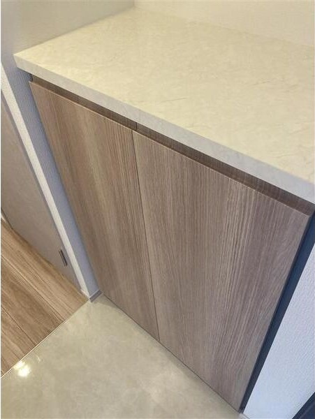 S-RESIDENCE堀田駅前futurの収納|ちょっとした収納スペースも充実しています