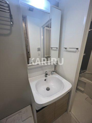 レジュールアッシュ京橋の洗面所