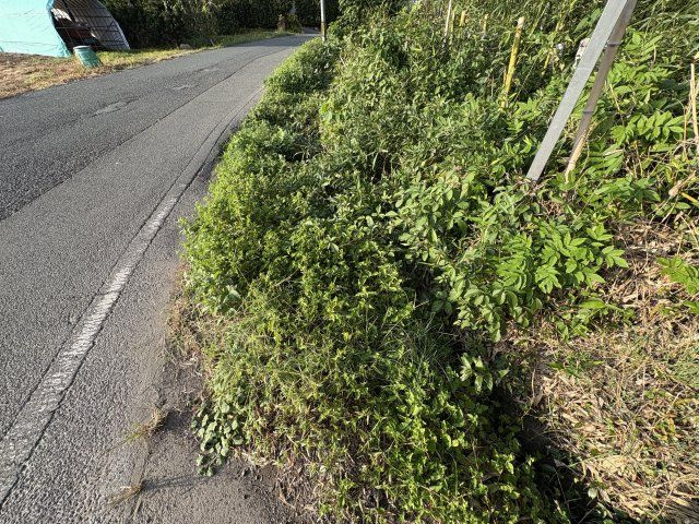 【周辺】 | 北区植木町広住土地