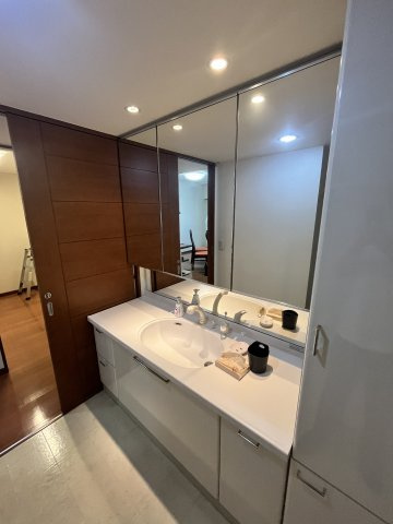 ポレスター城東の洗面所