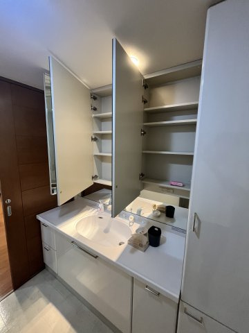 ポレスター城東の洗面所