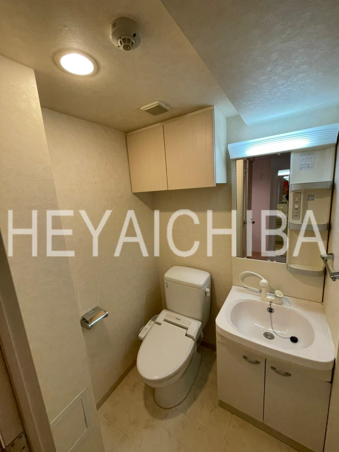 バージュアル新御徒町の洗面所