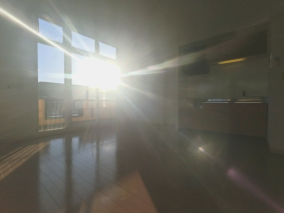 FORZAの居間・リビング|※反転・角部屋タイプ