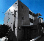 シェスタカメオの画像