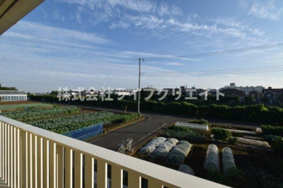 【展望】 | ヒラソル