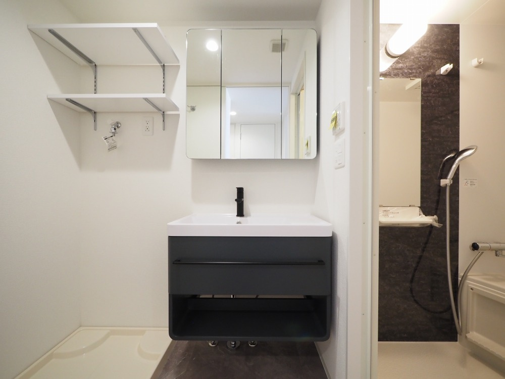 セレニテフラン谷町四丁目の洗面所