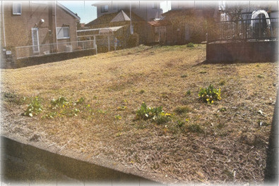 笠間市　土地の外観