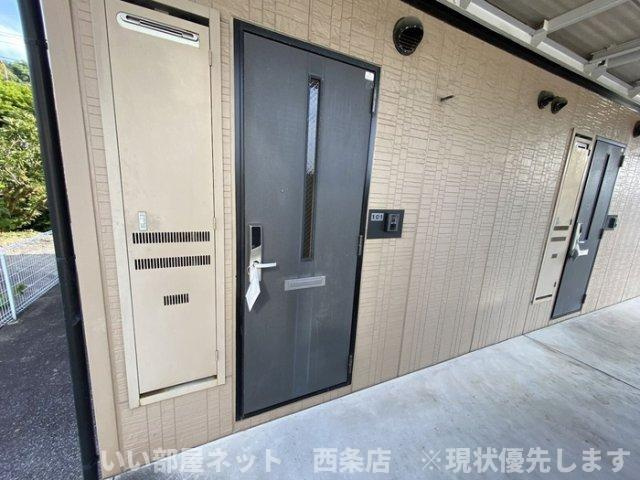 コーポラス　ダイクヤの玄関