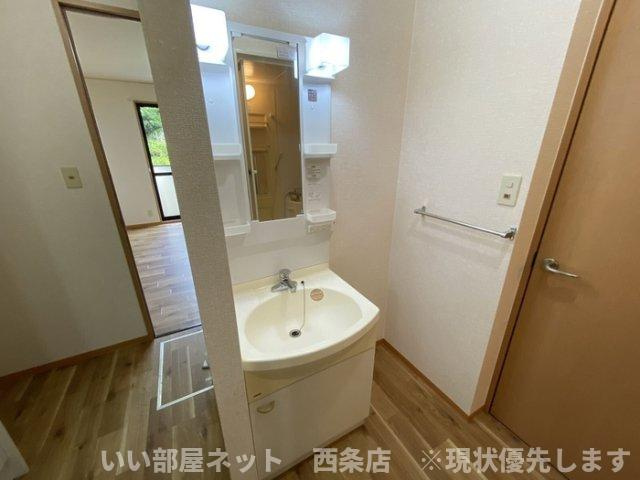 コーポラス　ダイクヤの洗面所