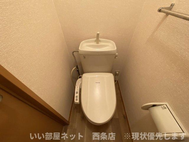 コーポラス　ダイクヤのトイレ