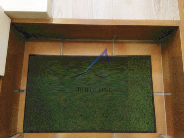 グランビル 阿佐谷の玄関|玄関です。