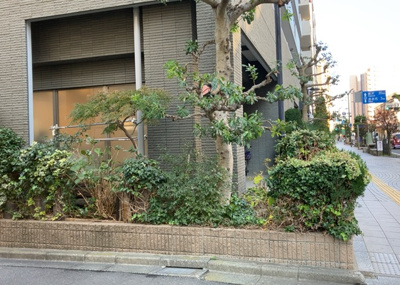 【外観】 | レクセルマンション本厚木 | 最寄り駅が近いなどの交通アクセスが良い土地だと暮らしやすいですよね。通勤・通学の観点から土地を選ぶことも大切です！自身や家族のライフワークからあったの物件を探しましょう！当社営業がお力になります！