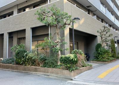 【外観】 | レクセルマンション本厚木 | 物件の詳細については、現地を見てわかること以外に、役所や法務局などで調べないとわからないことがあります。そのため、現地に行く場合は、もしこの物件を買ったらどのような生活ができるかをイメージしましょう。