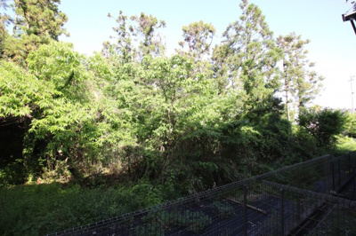 【展望】 | ヴェルドミールⅡ