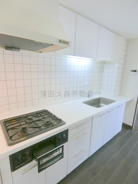 西馬込駅近ルーフバルコニー付1LDKのキッチン